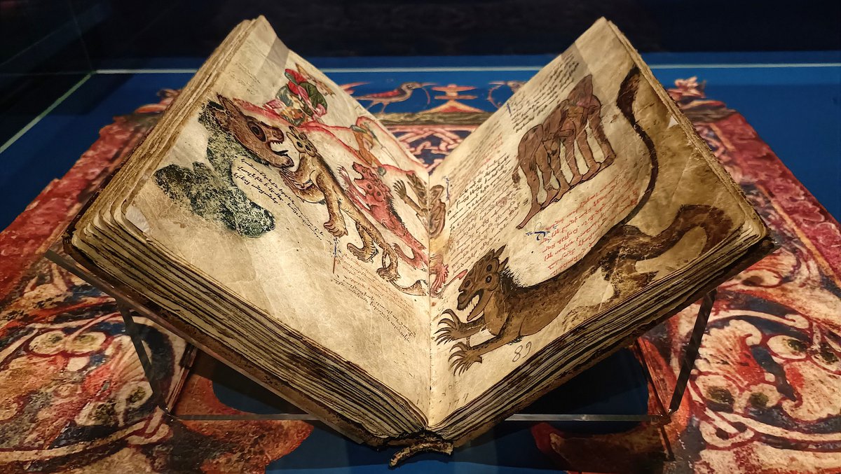 asociacionAILA tweet media