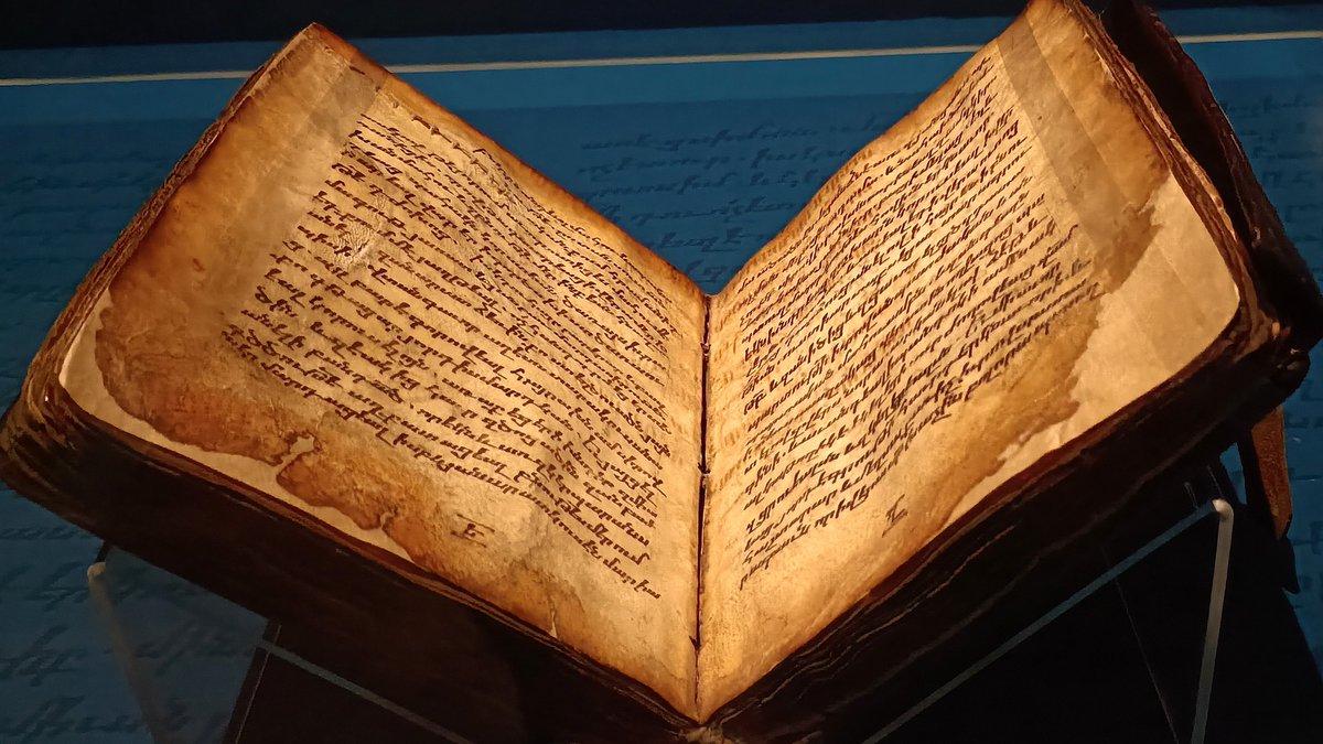 asociacionAILA tweet media