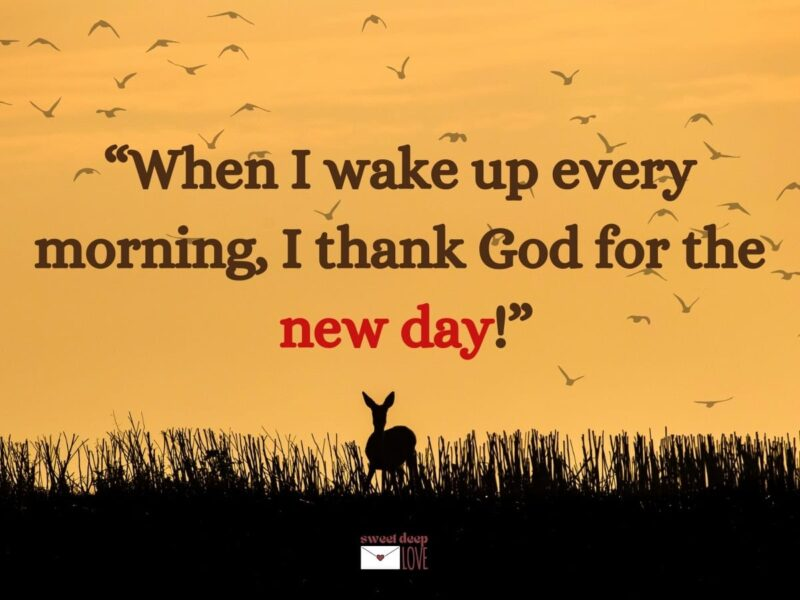 KONG 🍔🍔 tweet media