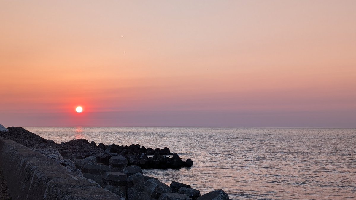 国稀酒造株式会社 tweet media