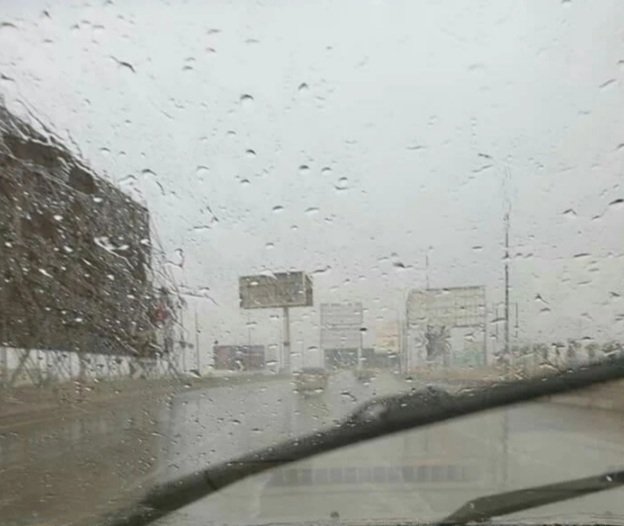 Jodi Diab tweet media