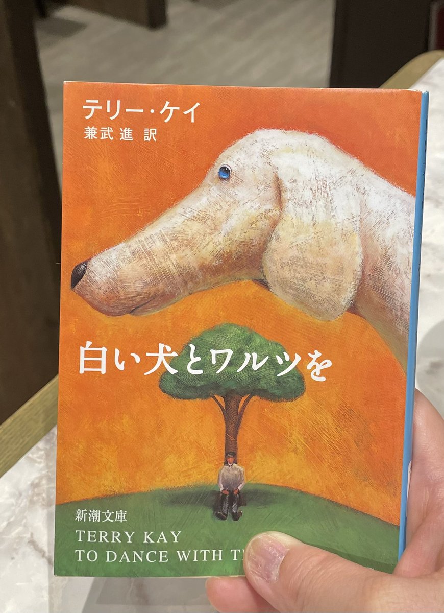 まゆだま tweet media