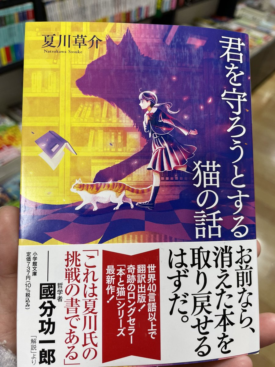 まゆだま tweet media