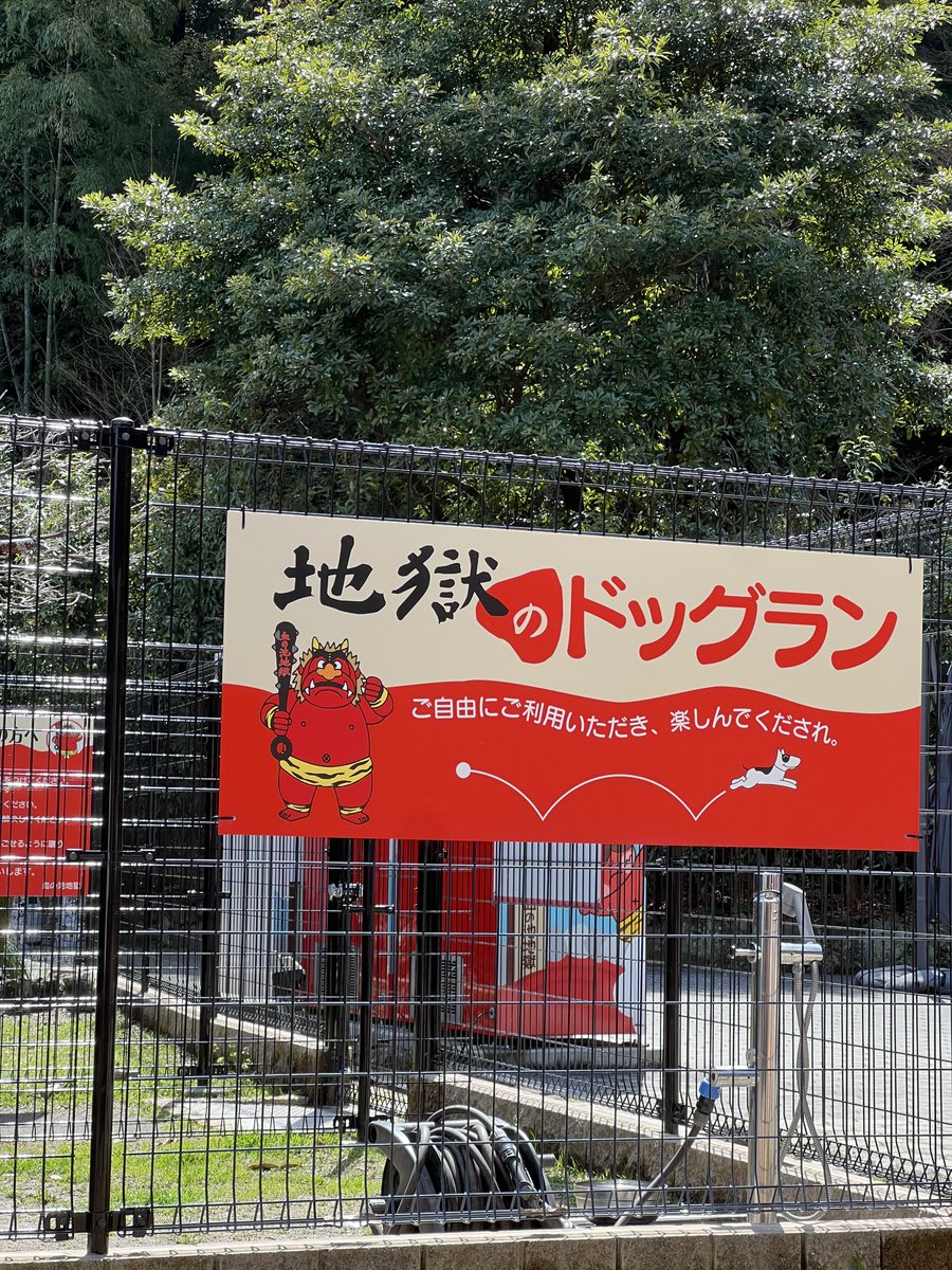 ダシ🦭 tweet media