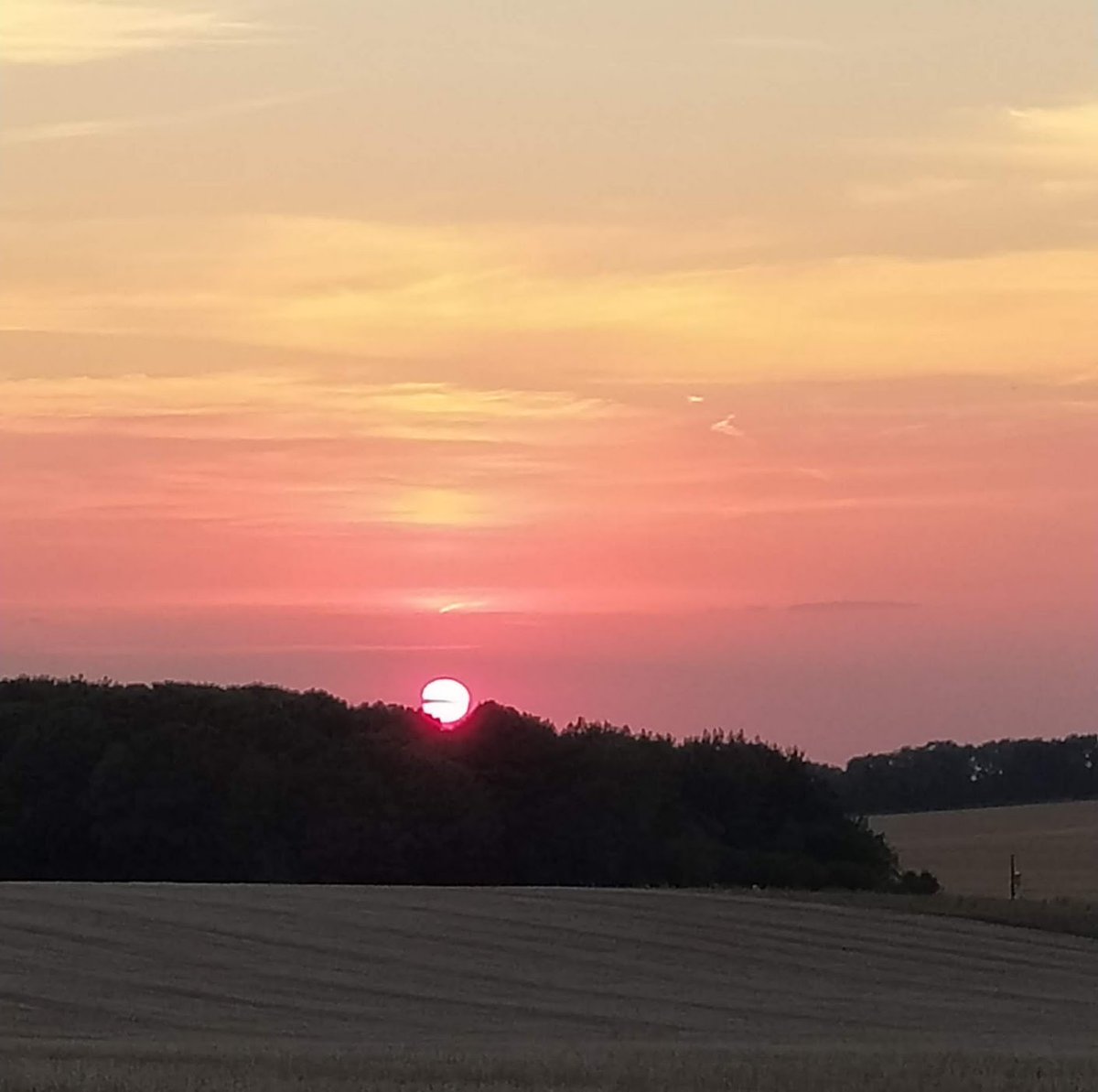 Alison Pailing tweet media