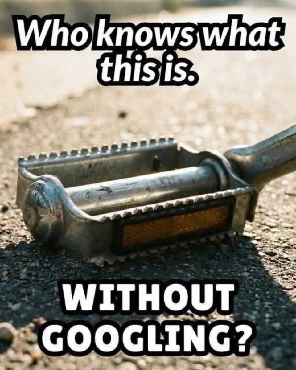 Honey 🛼 tweet media