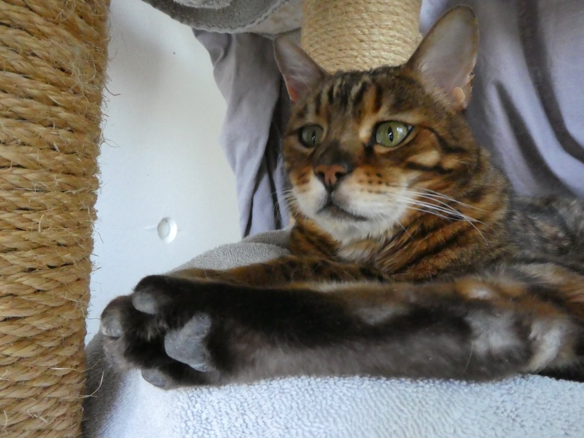 Beat Stocker tweet media