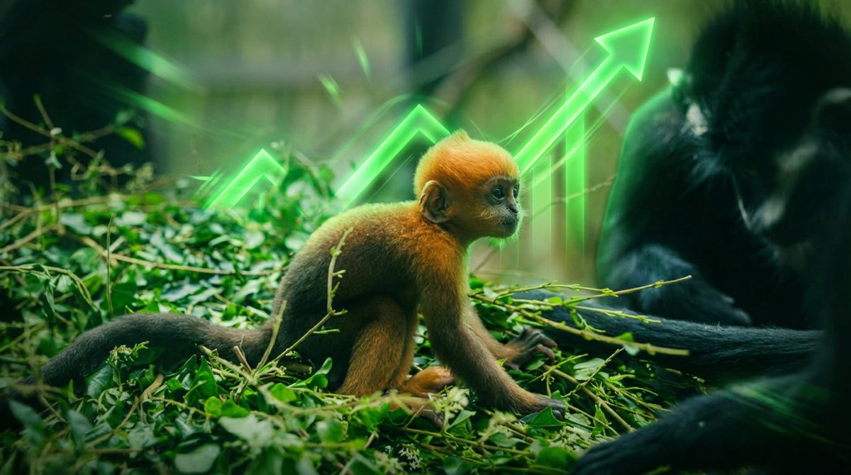 digitalizedmanul tweet media