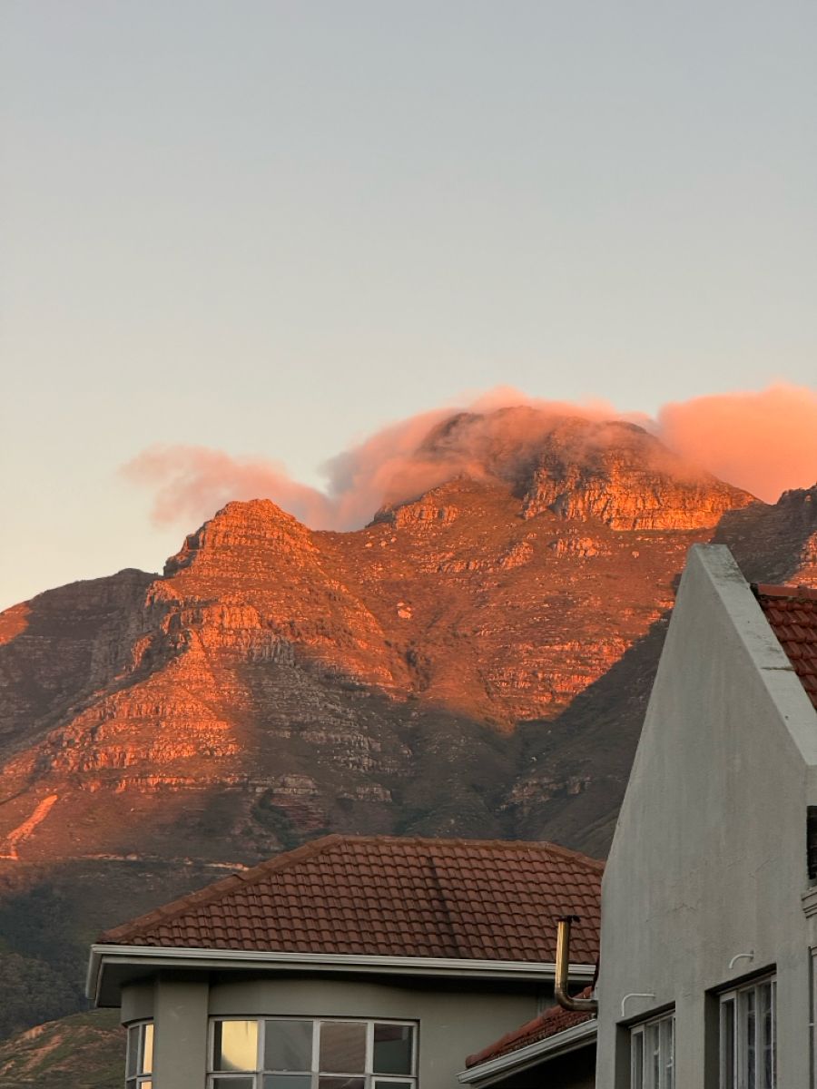 Cape International tweet media