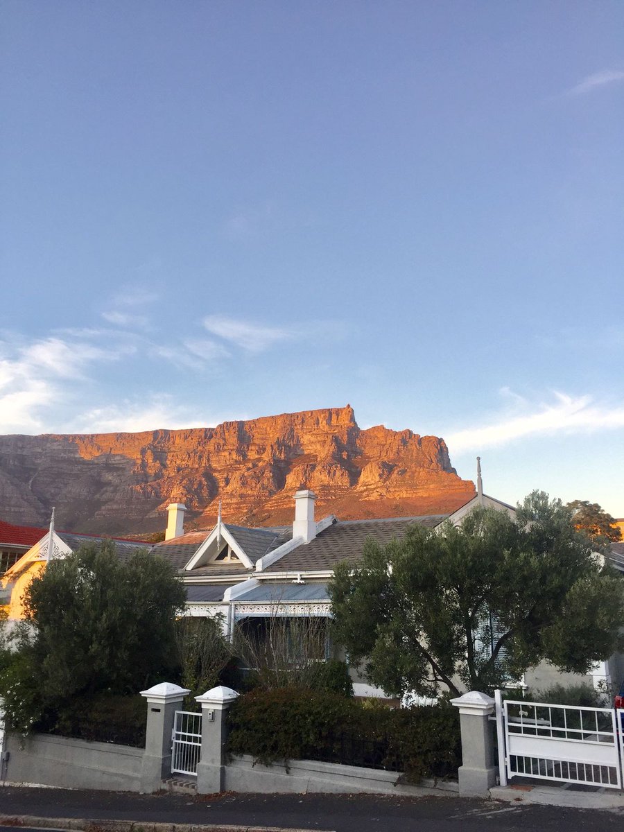 Cape International tweet media