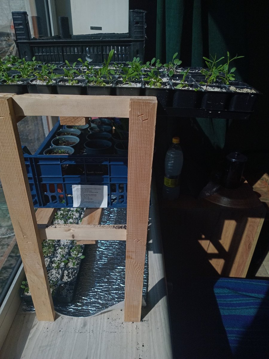 пані холодний носик tweet media