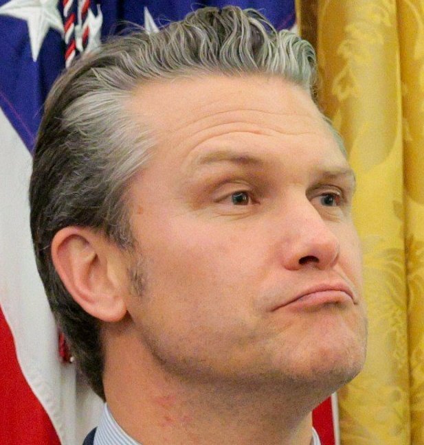 🔥Toonces Resists Again🔥 tweet media