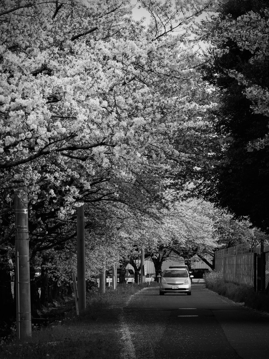 takashimo tweet media