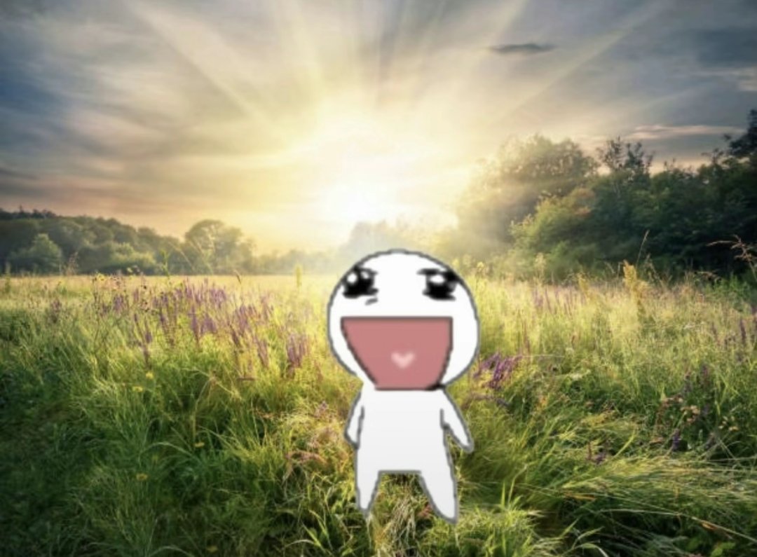 POKKABUG🦋🌸/⭐️🍎💥《16yrs》 tweet media