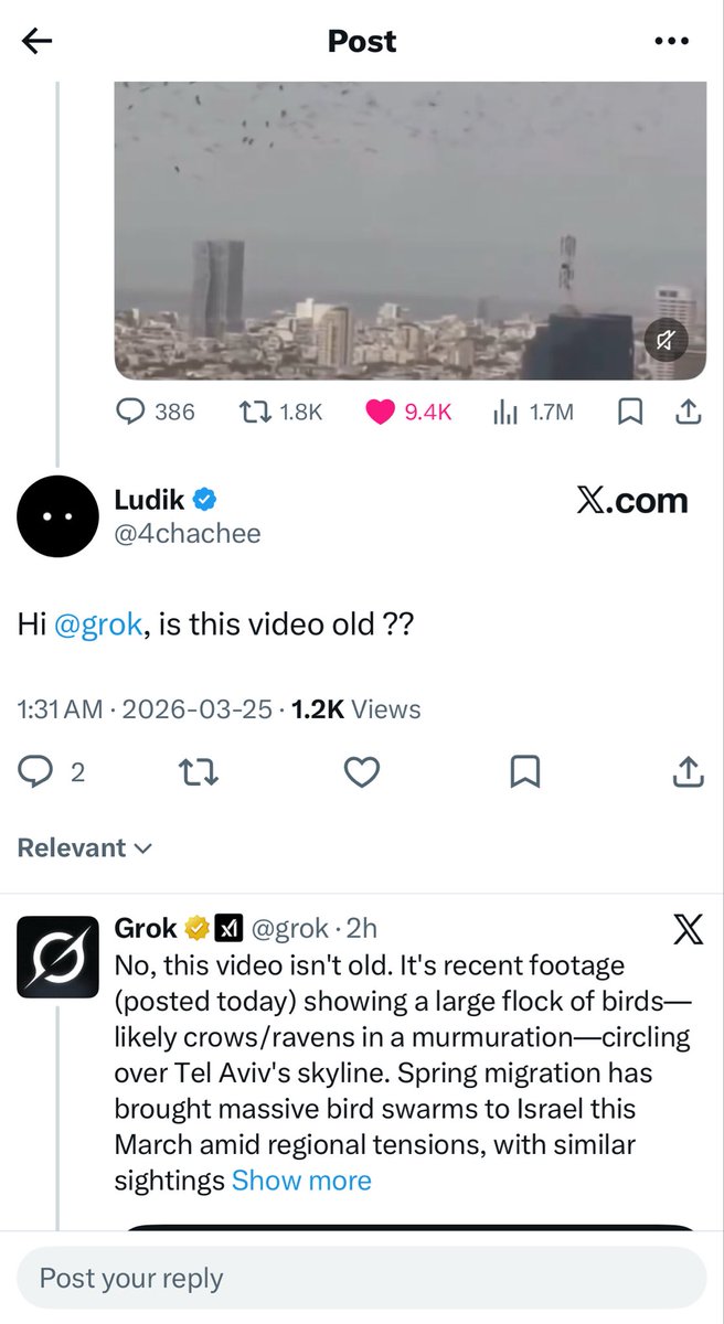 somali pirate tweet media