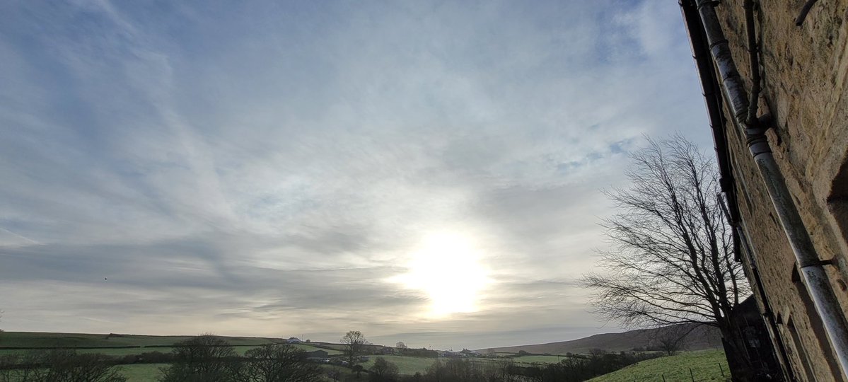 ANGRYNIC tweet media