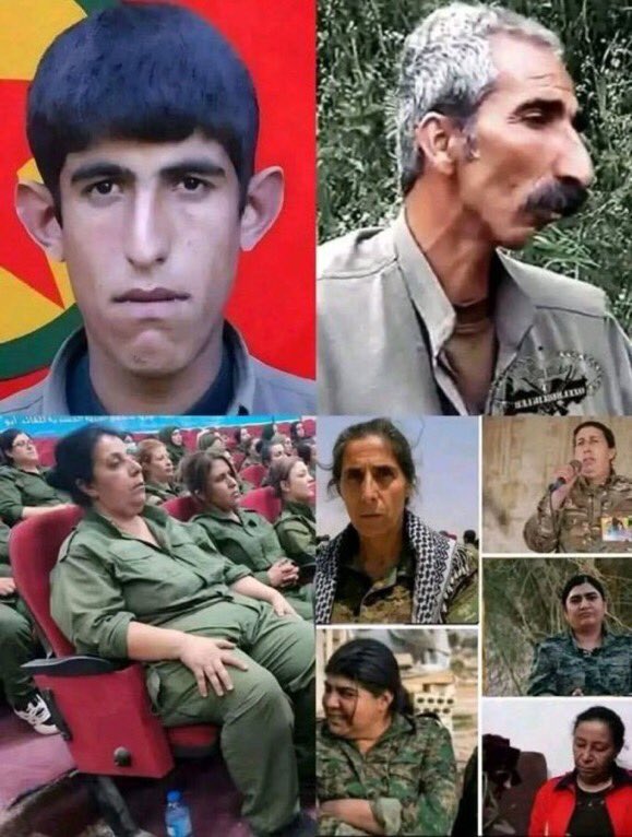 🇯🇵砂川 泉🎌 tweet media