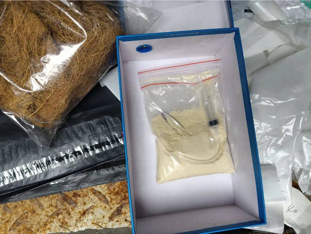 Nactzimone Uro tweet media