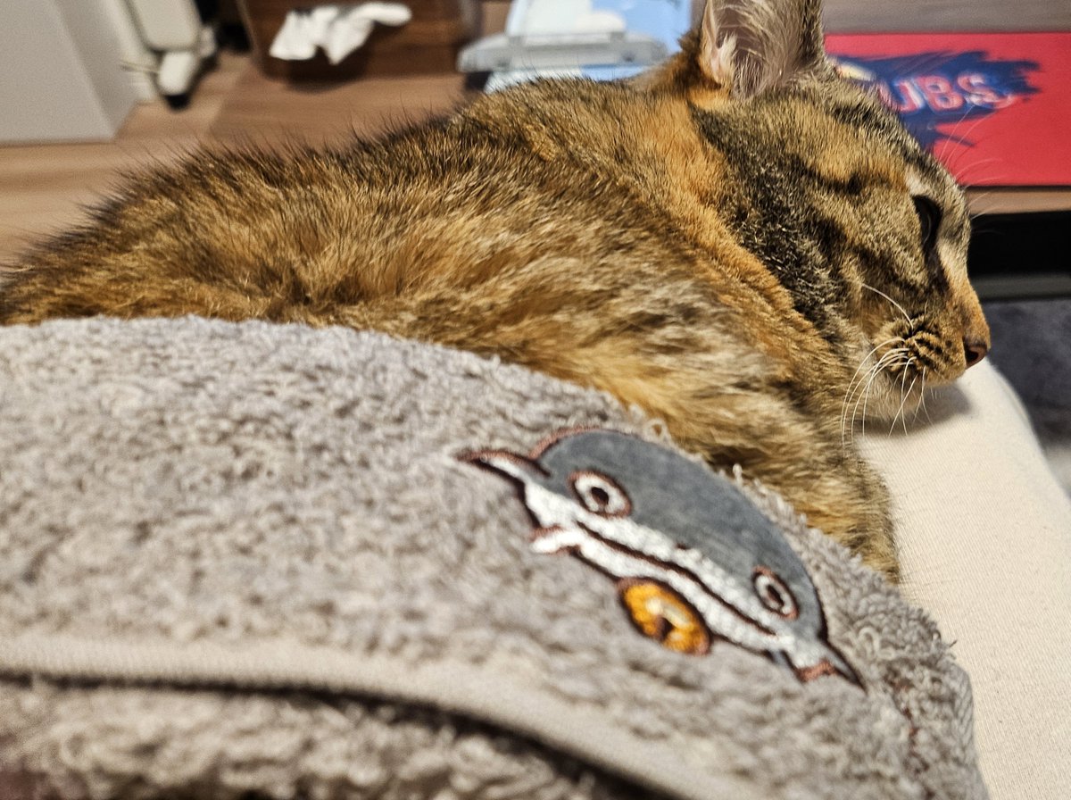 はいせん@snuqFF垢 tweet media