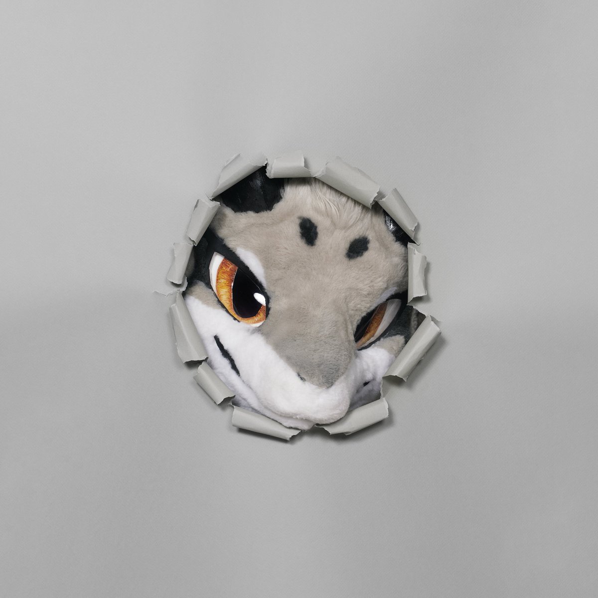 ํ๋
ธ / HANO tweet media