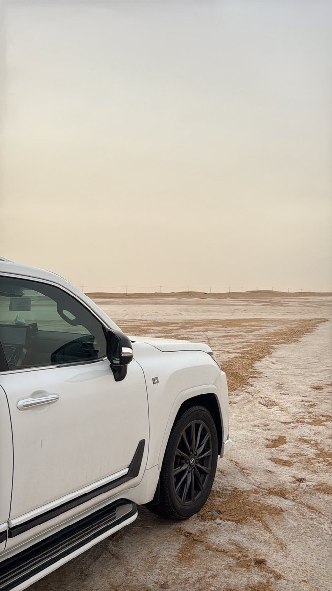 محمد ّ ـآل حمده . tweet media