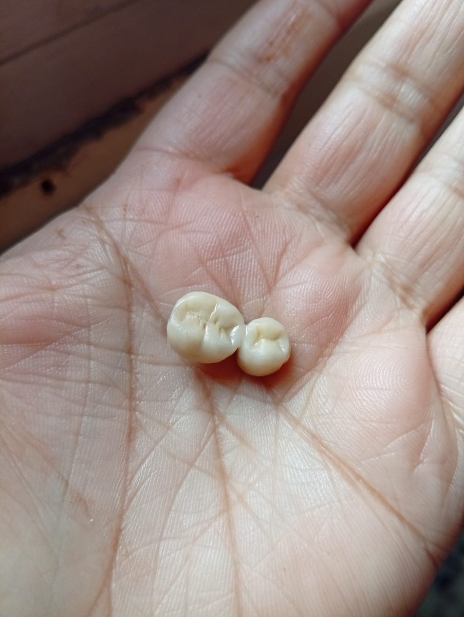 alia elhayek tweet media