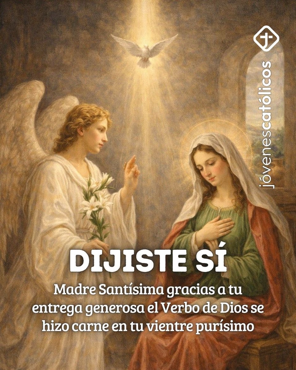 Jóvenes Católicos tweet media