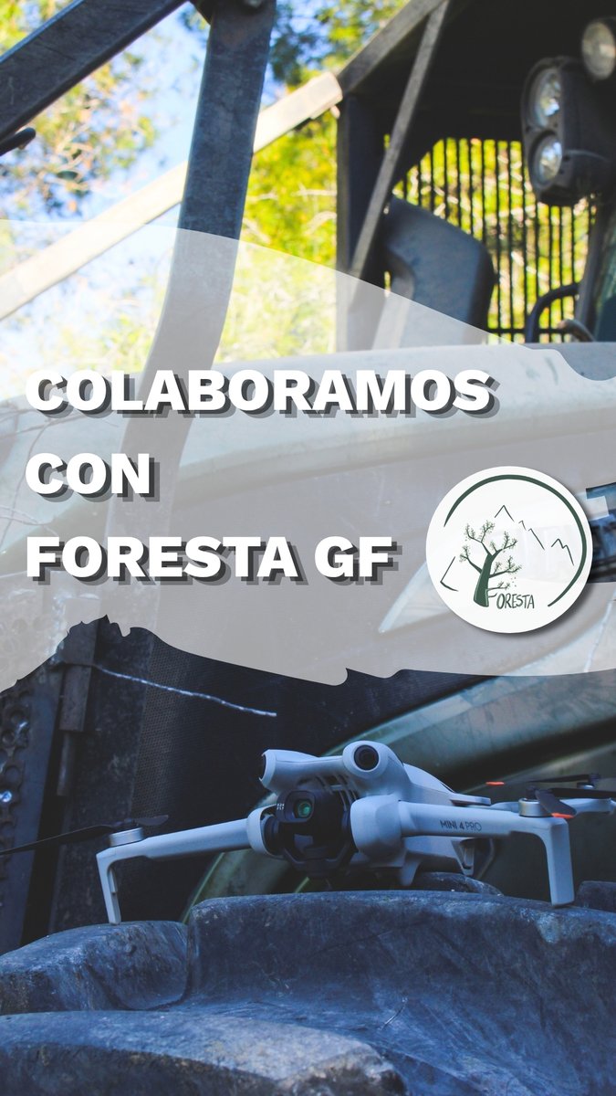 OFFSET TRAIL COOP.V tweet media