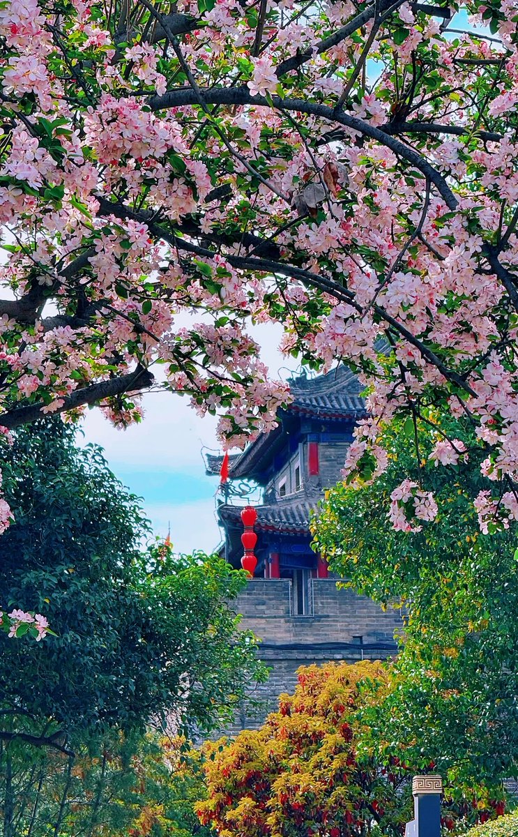 优优（互关互赞） tweet media