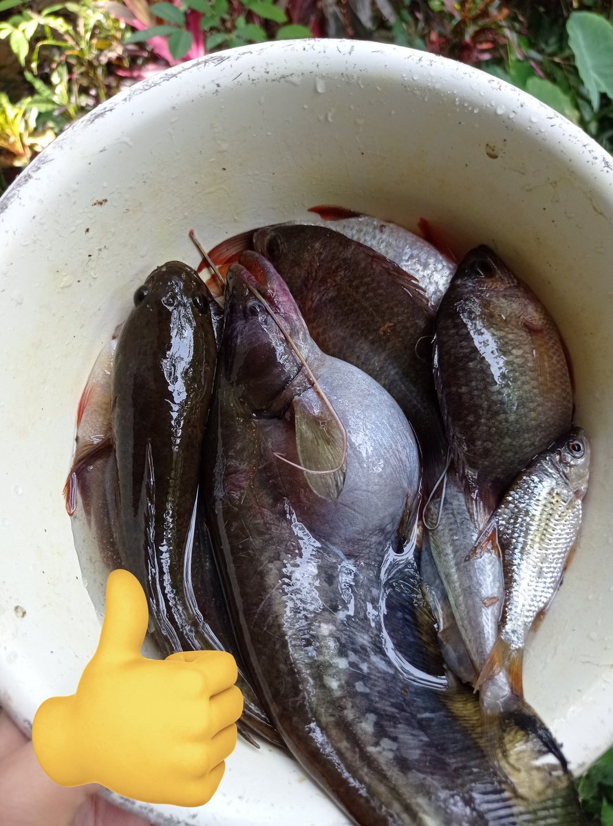 ᗯｉ𝐍 ❄️ tweet media