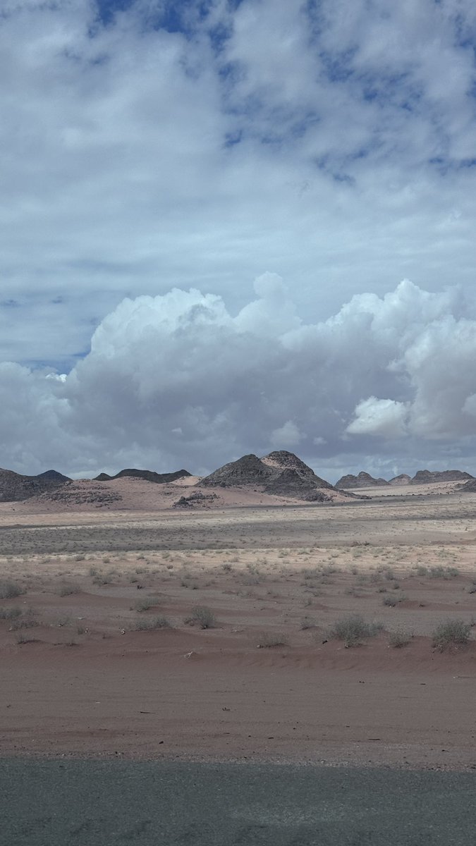 ماهر الربيلي tweet media