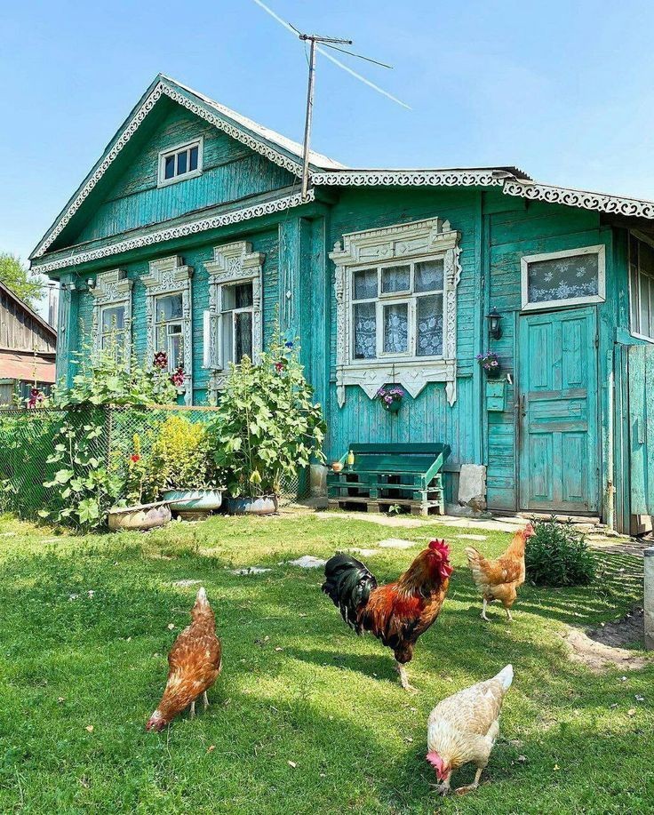 car_rot__'s tweet photo. #hollanov au в которой у Шейна совершенно не дёргается глаз на четвёртый час пути в электричке на dachu, пока Илья мило беседует с какой-то женщиной про лучший сорт яблок для закруток. Шейн рад приехать в Россию с Ильёй, он правда хочет познакомиться с его бабушкой, https://t.co/0Pqwx3qQLu