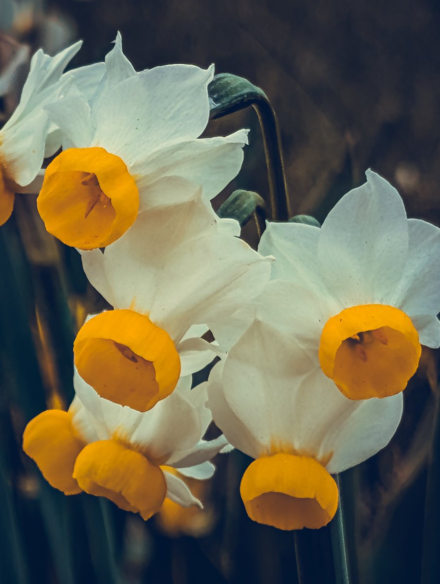 psychoticstate tweet media