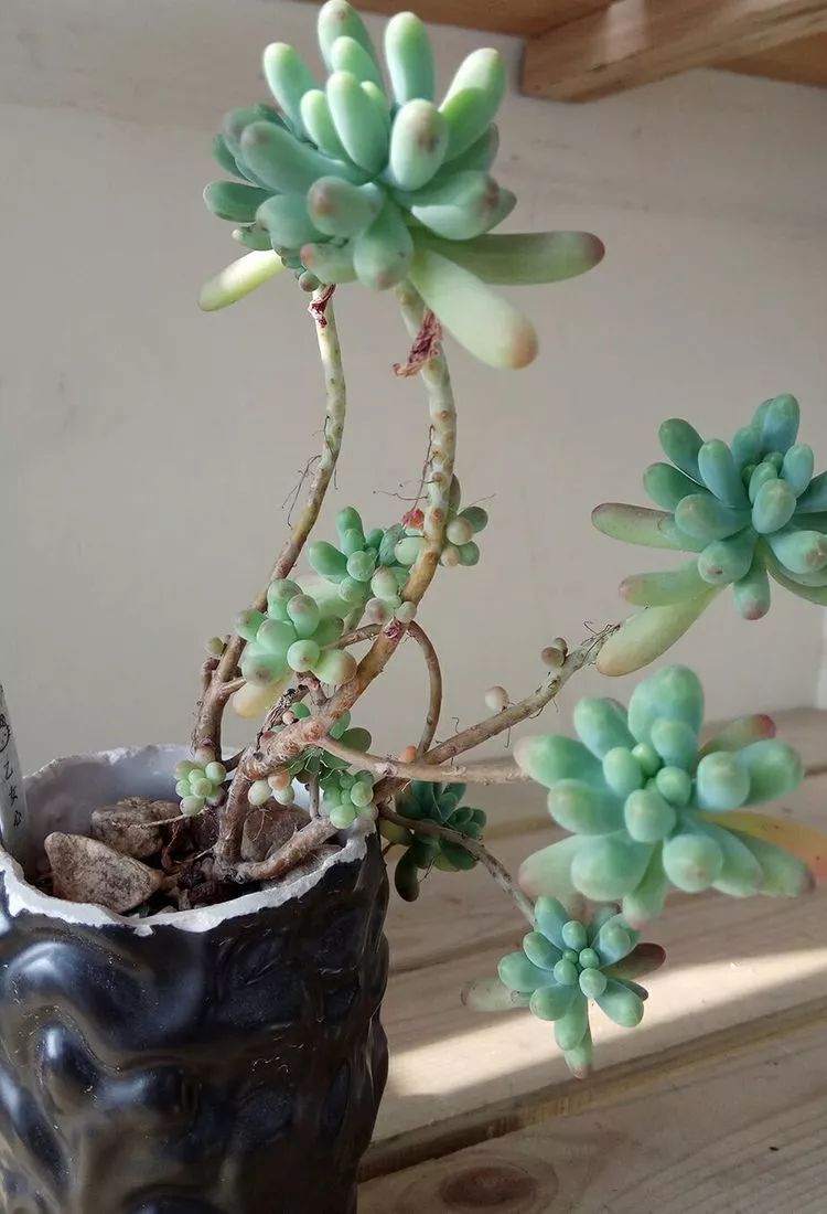 sam_sam2107 tweet media