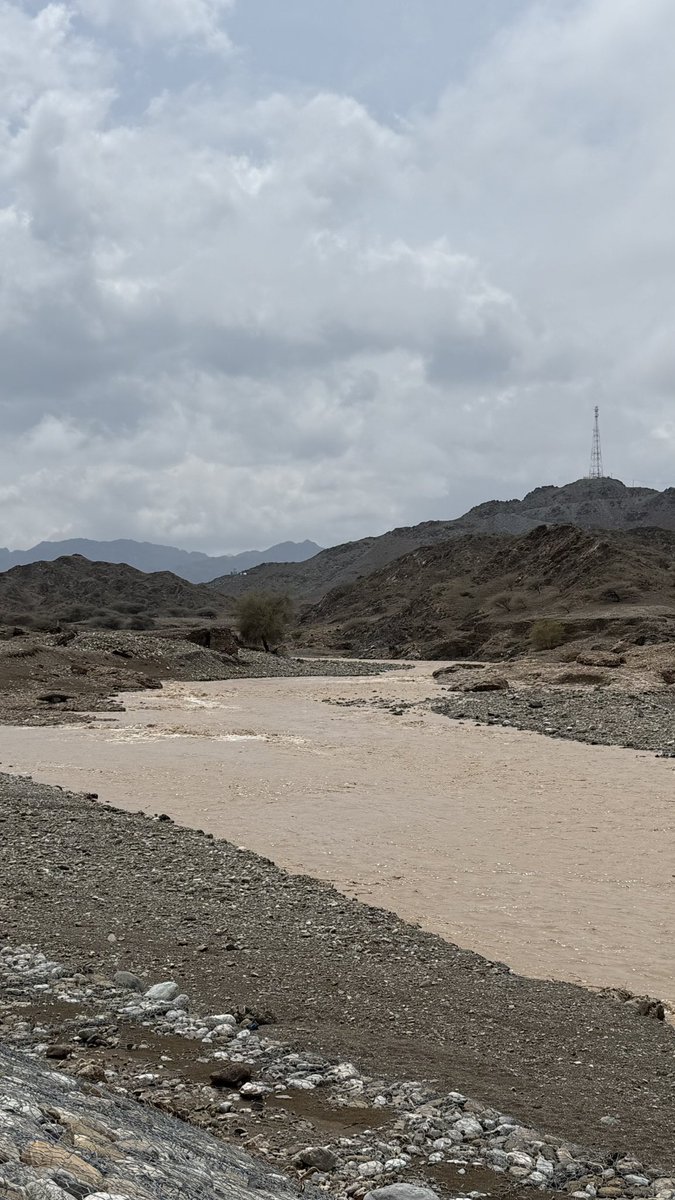 تهاني tweet media