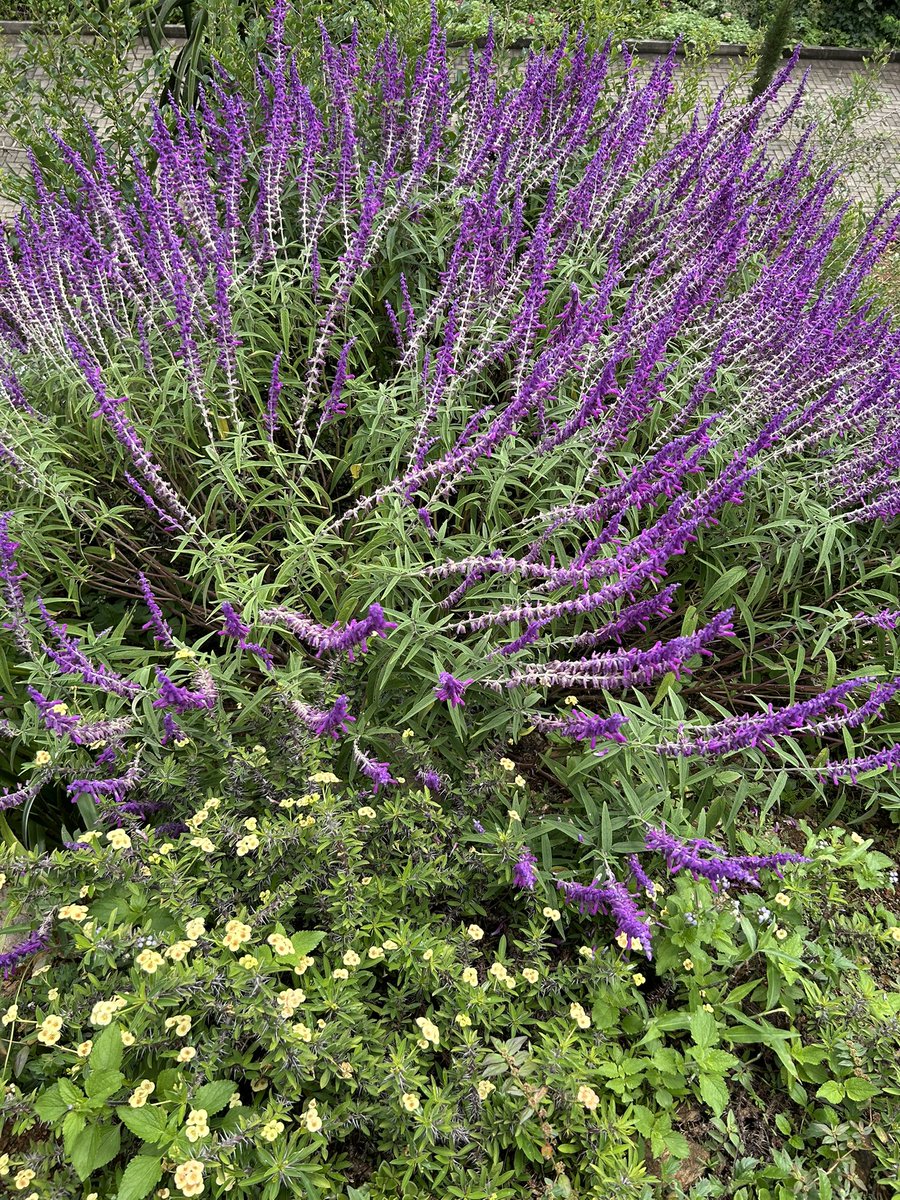 CJ (Esq.) tweet media