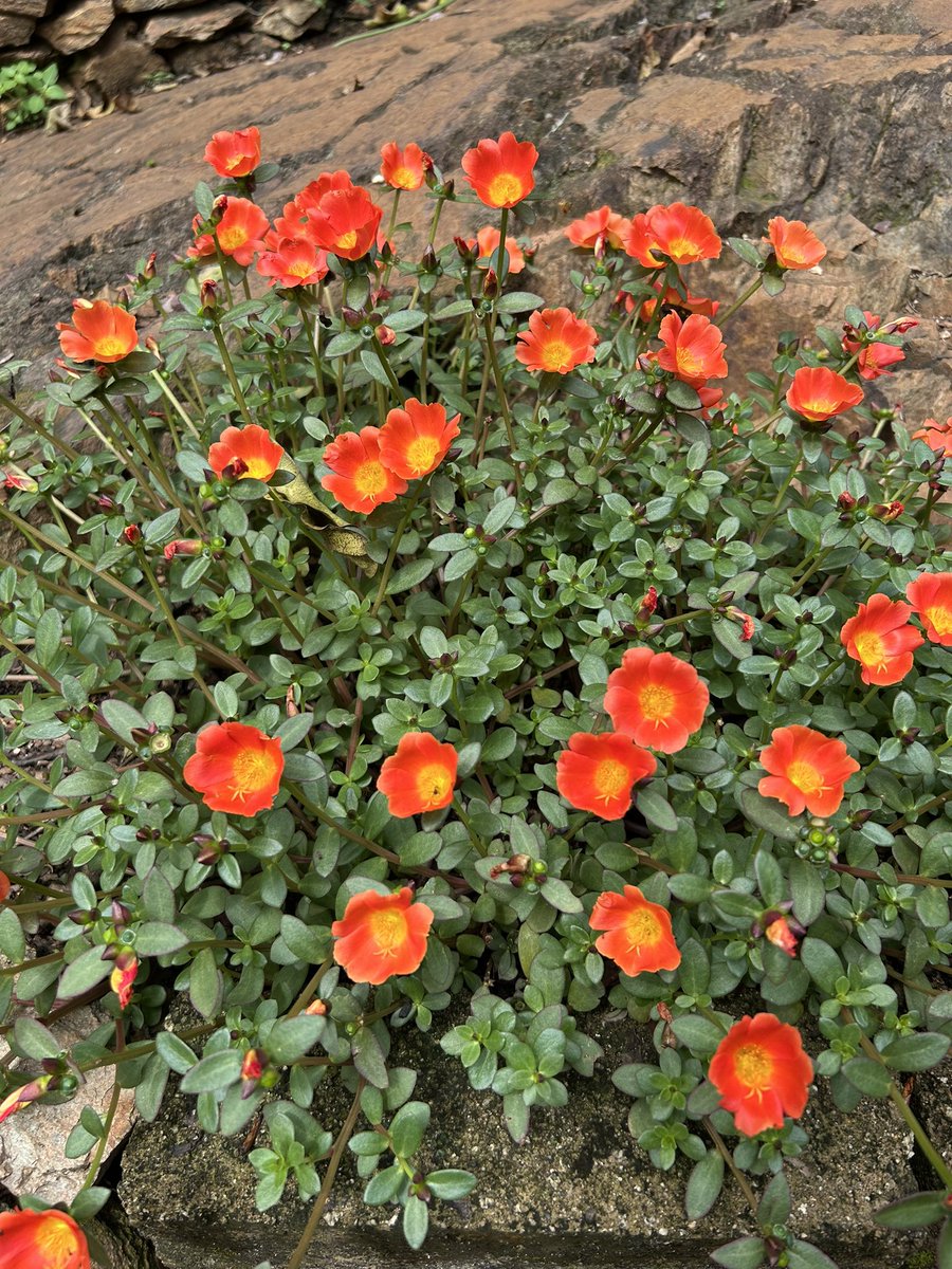 CJ (Esq.) tweet media