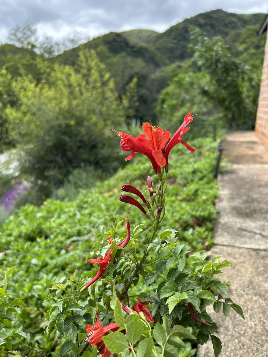 CJ (Esq.) tweet media