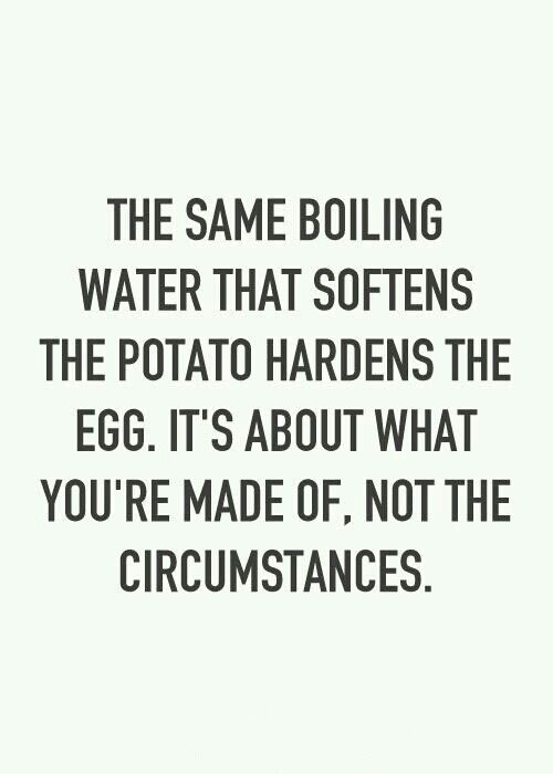 Tracy✨ tweet media