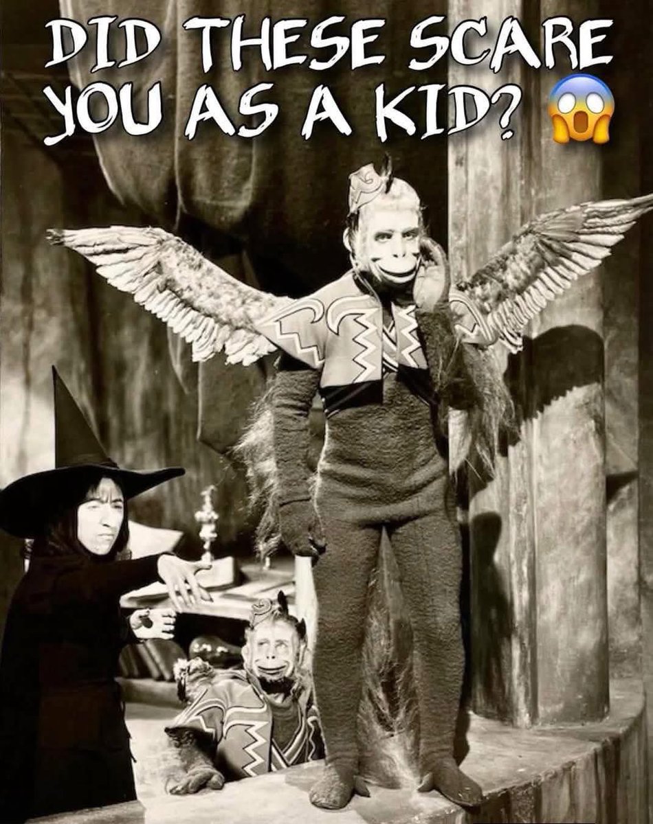 Jerseygirl #FBR 🟧 tweet media