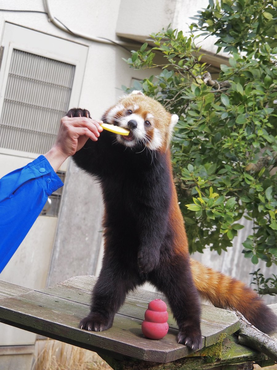 ⁿᵃᵍᵃᵒ tweet media