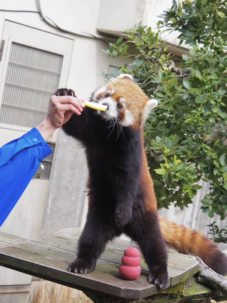 ⁿᵃᵍᵃᵒ tweet media