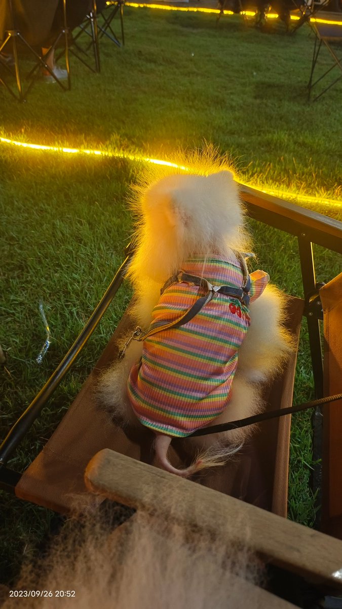 Emma Mackay tweet media