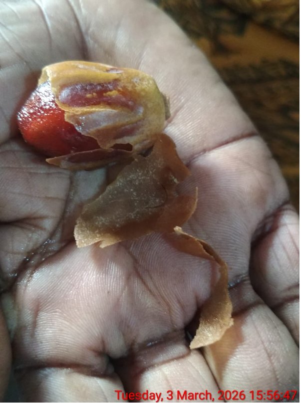 Singara Chennai Citizen (シンガラ・チェンナイ市民) tweet media