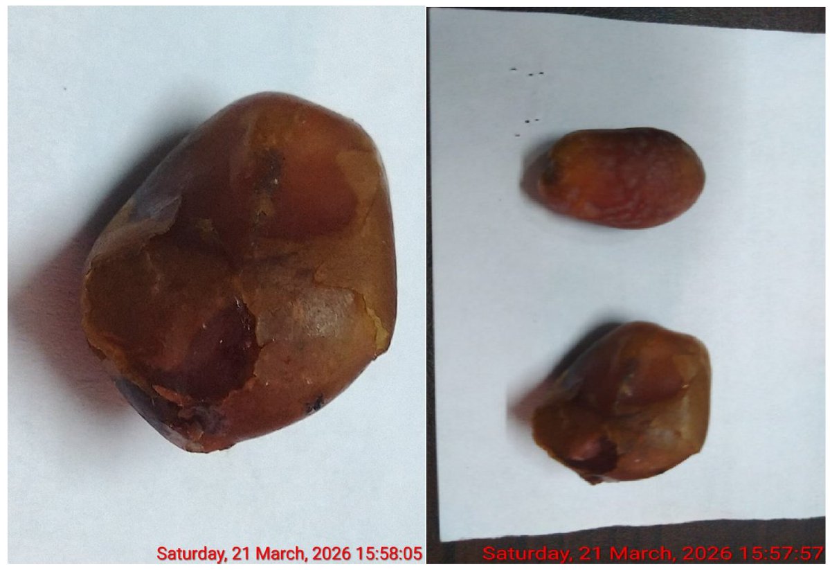 Singara Chennai Citizen (シンガラ・チェンナイ市民) tweet media