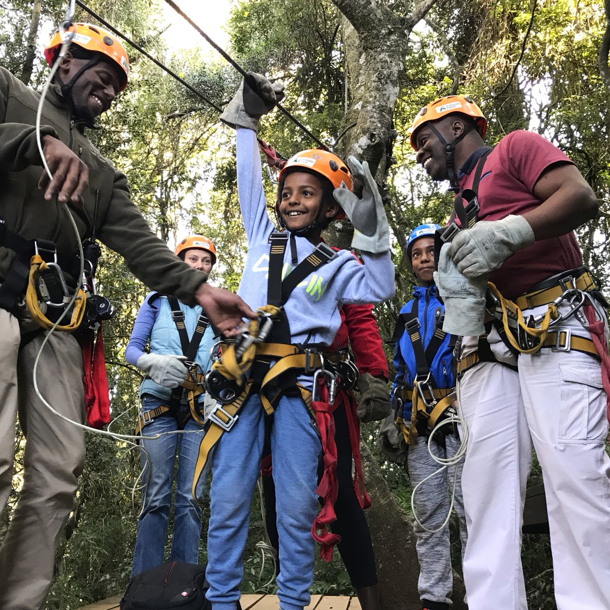Canopy Tour SA tweet media