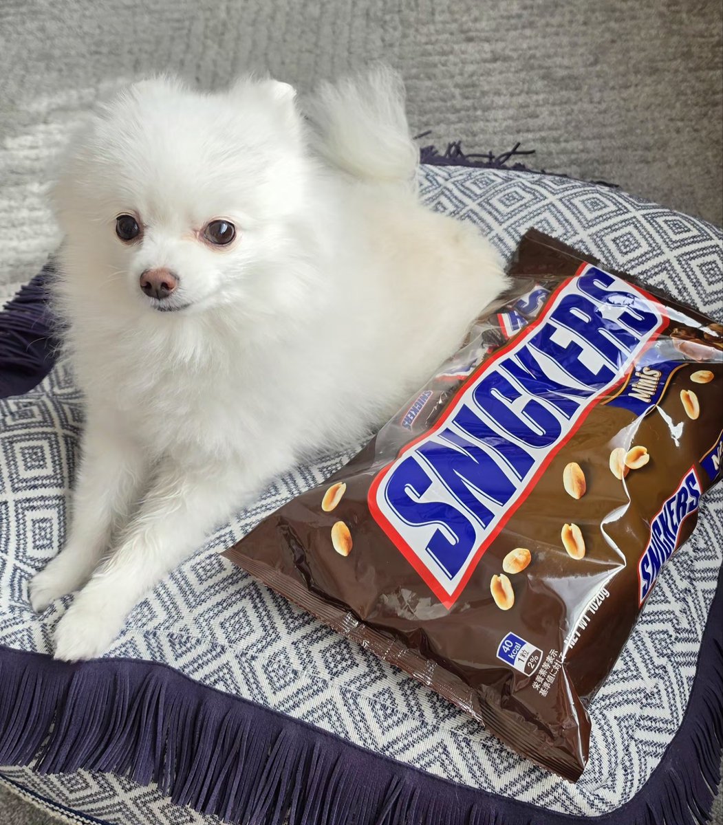 モコ太郎 tweet media