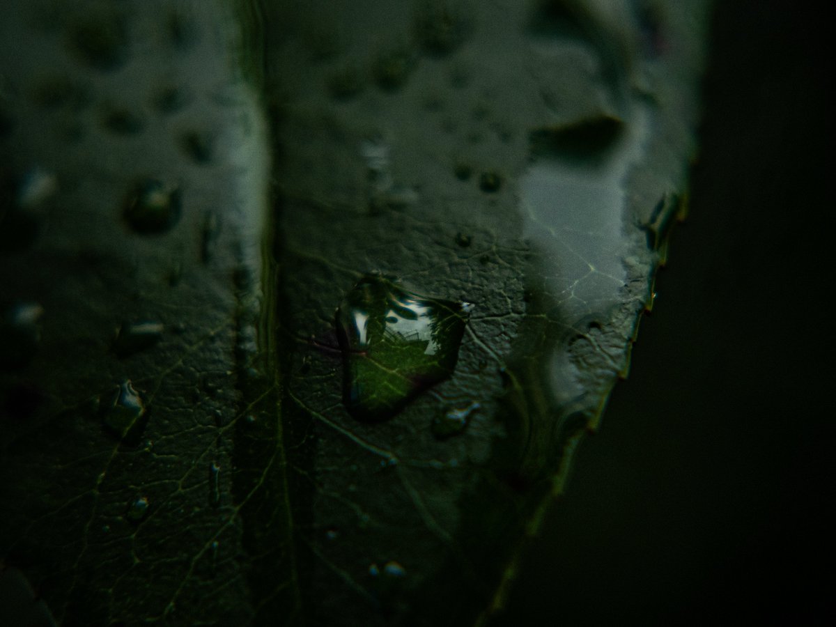 びびっとぼーい tweet media