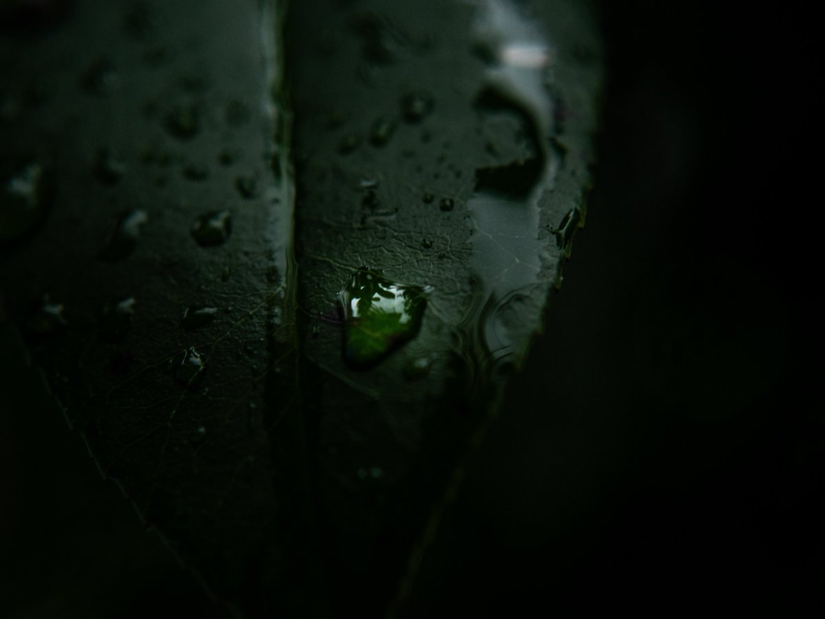 びびっとぼーい tweet media