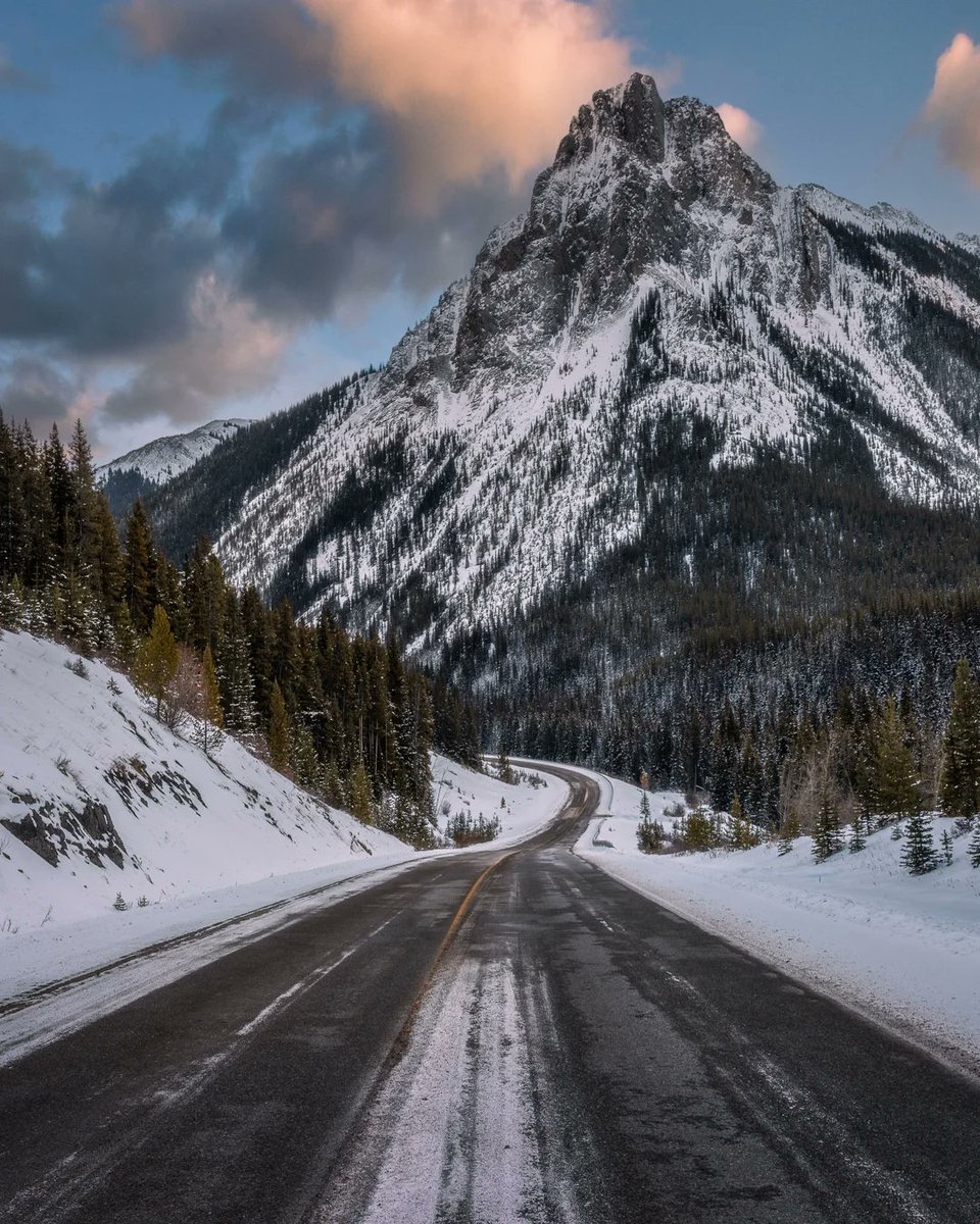 World Best tweet media